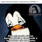 mario-rueda-1