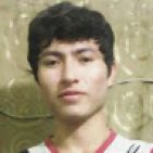nelserarm