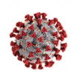 virus13