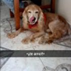 KarenCadena