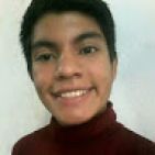 georges-flores