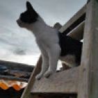 gina-manzano-catacora