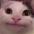 fusillihateaccount