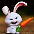 Bunnyyy
