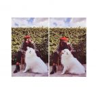 genises-gomez
