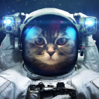 BioCat98