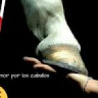 fabiana-villar