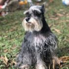 nathaly-garcia-8