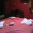 EL_PERRO_UUPSJB-avatar