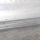 fabi.2105
