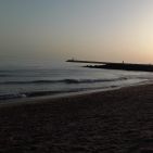 martim-goncalo