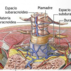 Juan.acceso