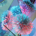 Genive
