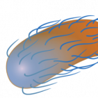 pyogenes