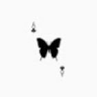 angelina-95