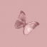 prdream-avatar