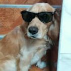 daniel-quispe-6