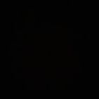 yherlan_rg