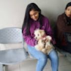 lcamposd