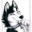 wolfox-2-avatar