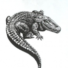 lorenzobarotti