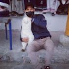 cmanobanda38