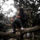 zoila_aliaga