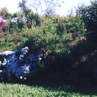 hugo-figueiredo-3