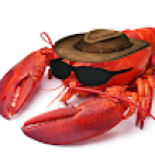 checop