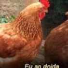 joao-s-12