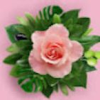 alizay-noor