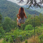 alice.blgns