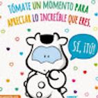 cynthia-romero-9