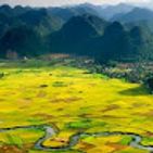 manh-duong-djuc