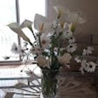 maria-rosa-batiste-estupina