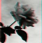 emaan-umer