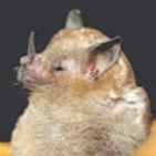 jonathan-heiber-duque-parrado