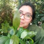 zumy-yolange-tovar-aranda