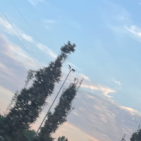 anna155555
