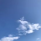 claudia-bonetti-1