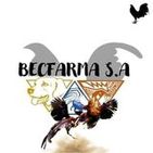becfarma-sa