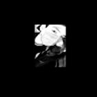 flor-cruz-7