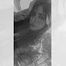 florencia-mora-2-avatar