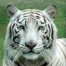 JoseLito00-avatar