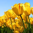 deepak-deshmukh