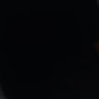 pau-torres-robles