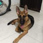 alex-becerra-3