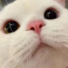 kko-mi