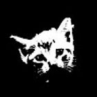 darwin-watterson