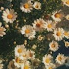 flores-mamani-vanessa